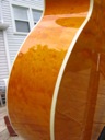 image for photo: Dragonfly side maple detail